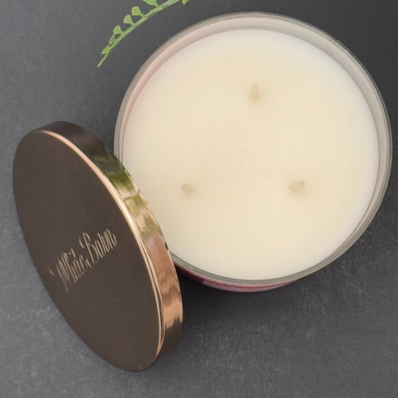 BBW Frosted Cranberry White Barn Bath & Body Works 3 Wick Candle - Picture 6 of 10